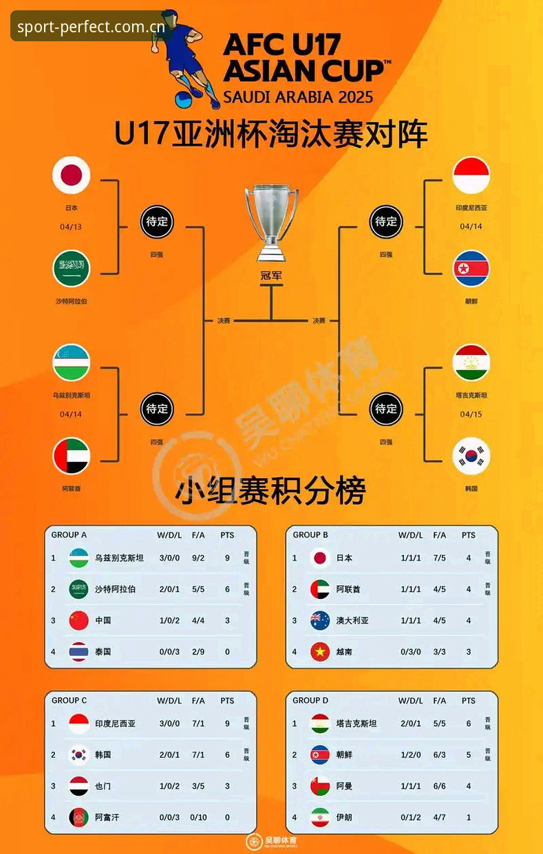 U17世界杯抽签结果深度解读：完美体育用户观赛实用指南